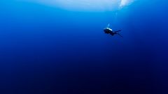 24 minutos y medio bajo el agua, 54 años y un Guinness