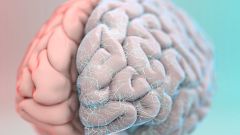 CINET, la institución que aúna neurociencia y ética