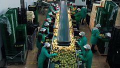 La 2 estrena 'Origen', un viaje a la procedencia de los alimentos españoles