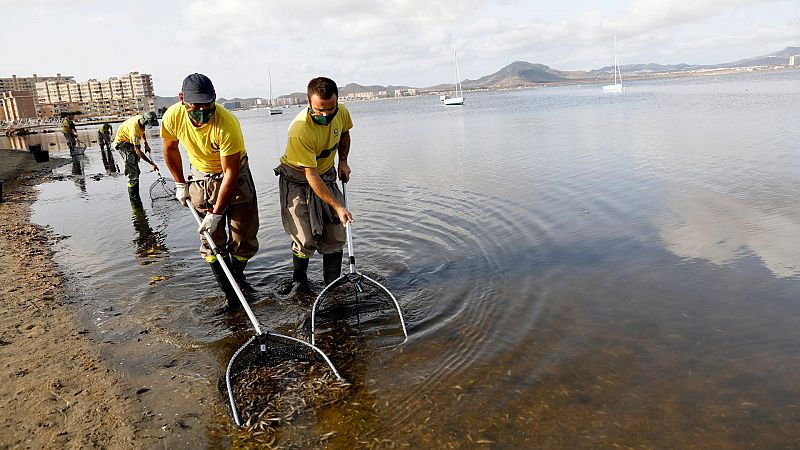 Del Mar Menor a las Tablas de Daimiel: los ecosistemas espa�oles en la UCI