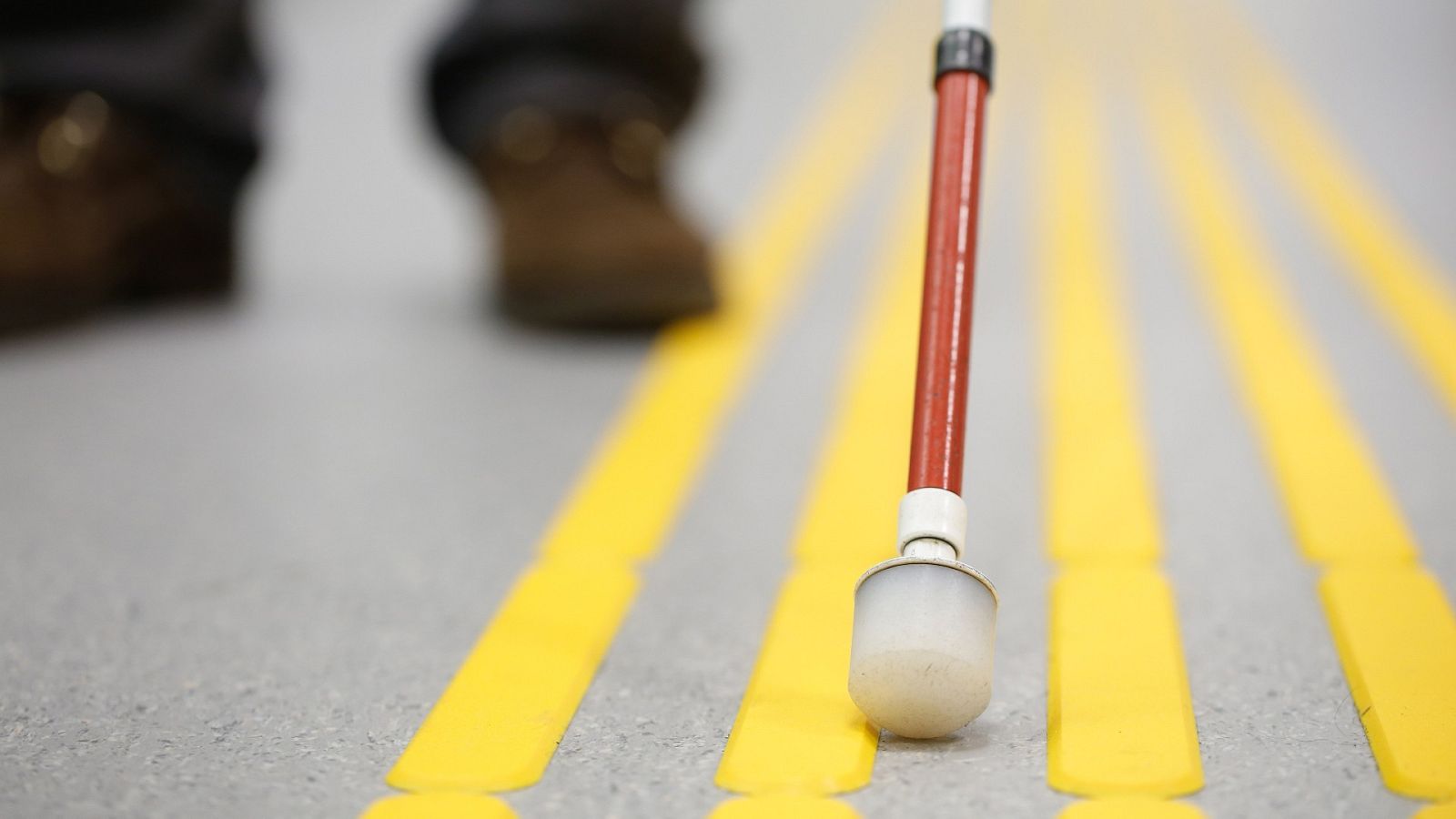 La OMS estima que en el mundo hay 253 millones de personas con discapacidad visual