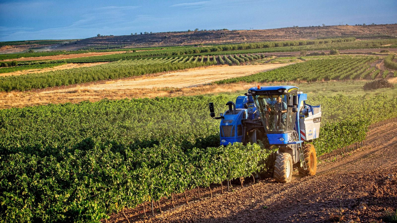 El PNV proponía dividir la D.O. Rioja para crear una subdenominación de Rioja Alavesa