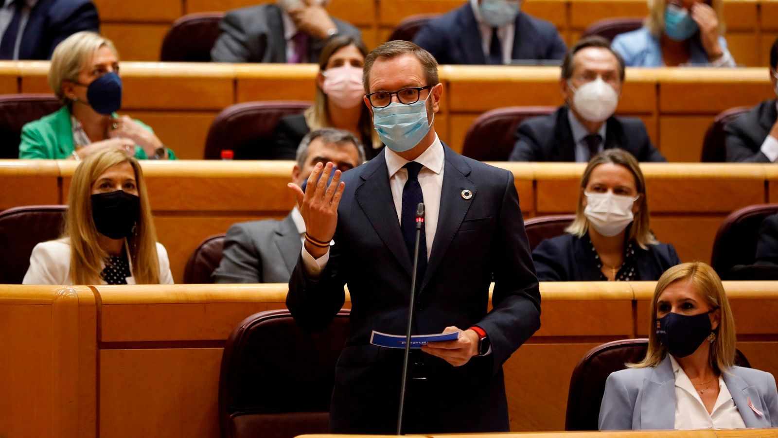 El portavoz del PP en el Senado, Javier Maroto