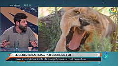 Zoos sí o zoos no?