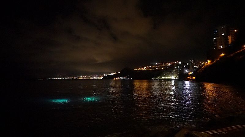 �C�mo afecta la contaminaci�n lum�nica a los seres vivos?