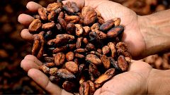 ¿Es cierto que se va a acabar el chocolate? ¿Desaparecerá?