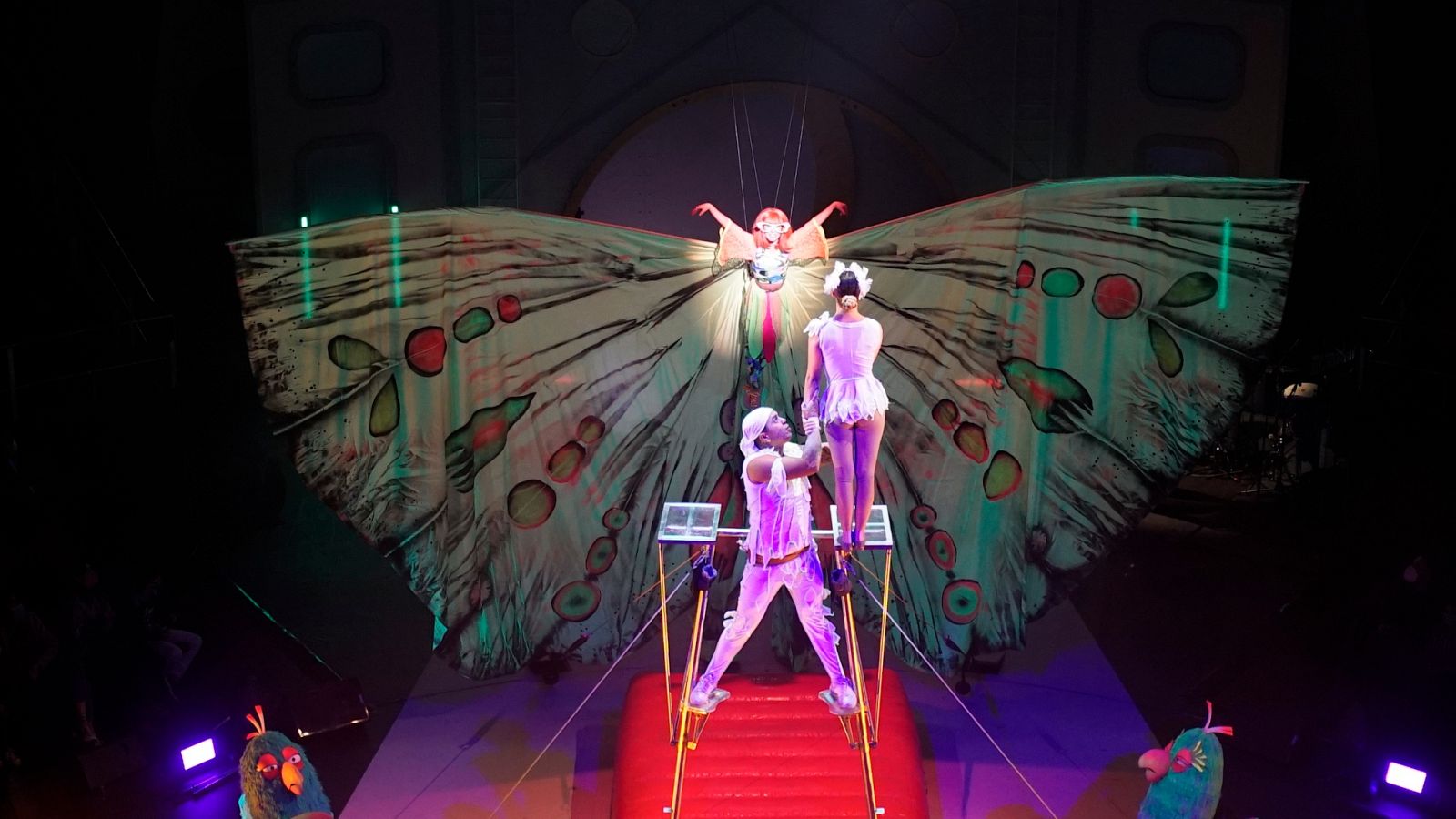 circo-price-cometa-mariposa