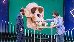 Órbita Laika: ¿Cómo se convirtieron nuestros ancestros en humanos modernos?