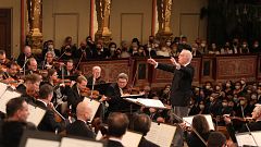 Aforo reducido, vacuna y PCR obligatoria: así será el Concierto de Año Nuevo de la Filarmónica de Viena