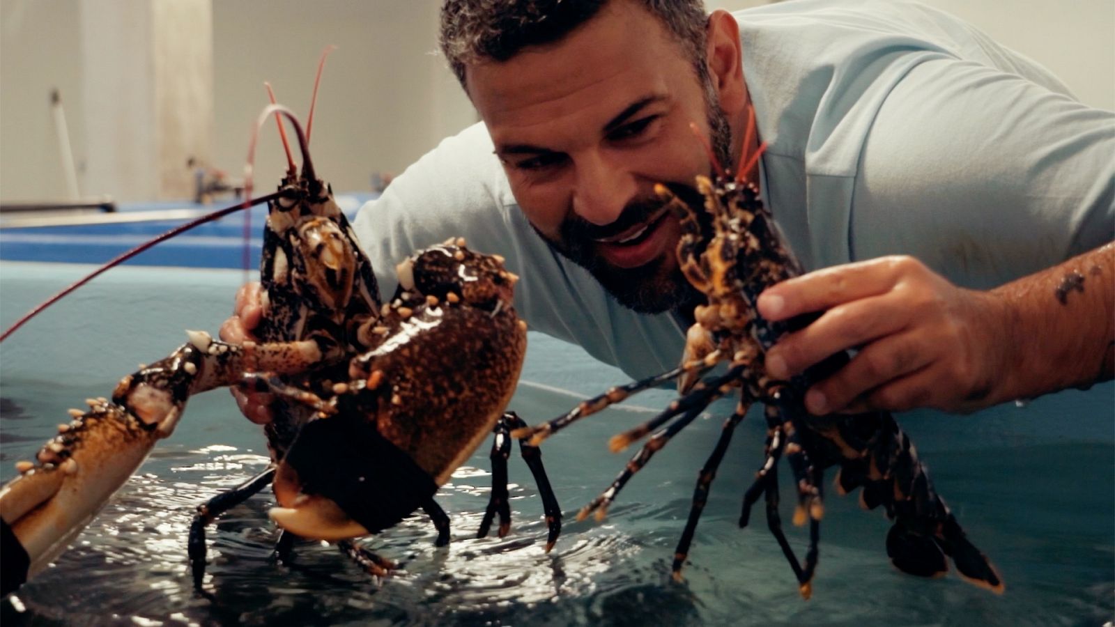 Nuevo recorrido, nuevos productos, con el chef argentino Gonzalo D'Ambrosio