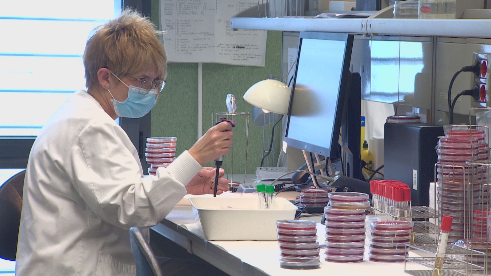 ctv-vea-bal-mll-virus-microbiologia-br-inf-tve frame 19699