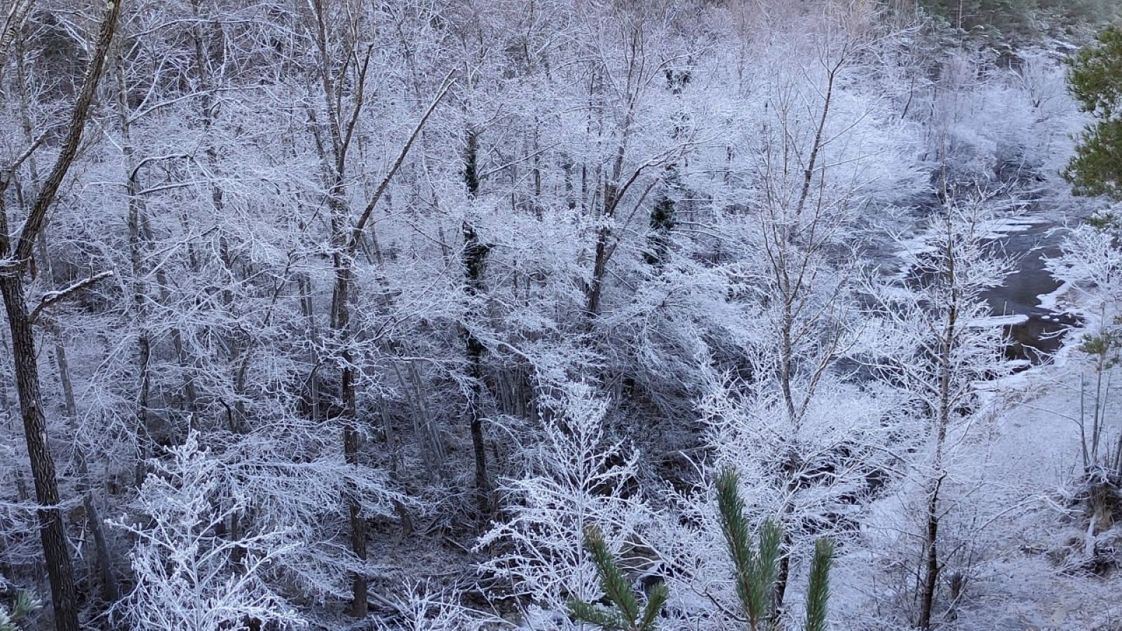 Imatge de Guardiola de Berguedà | Josep Maria Coll