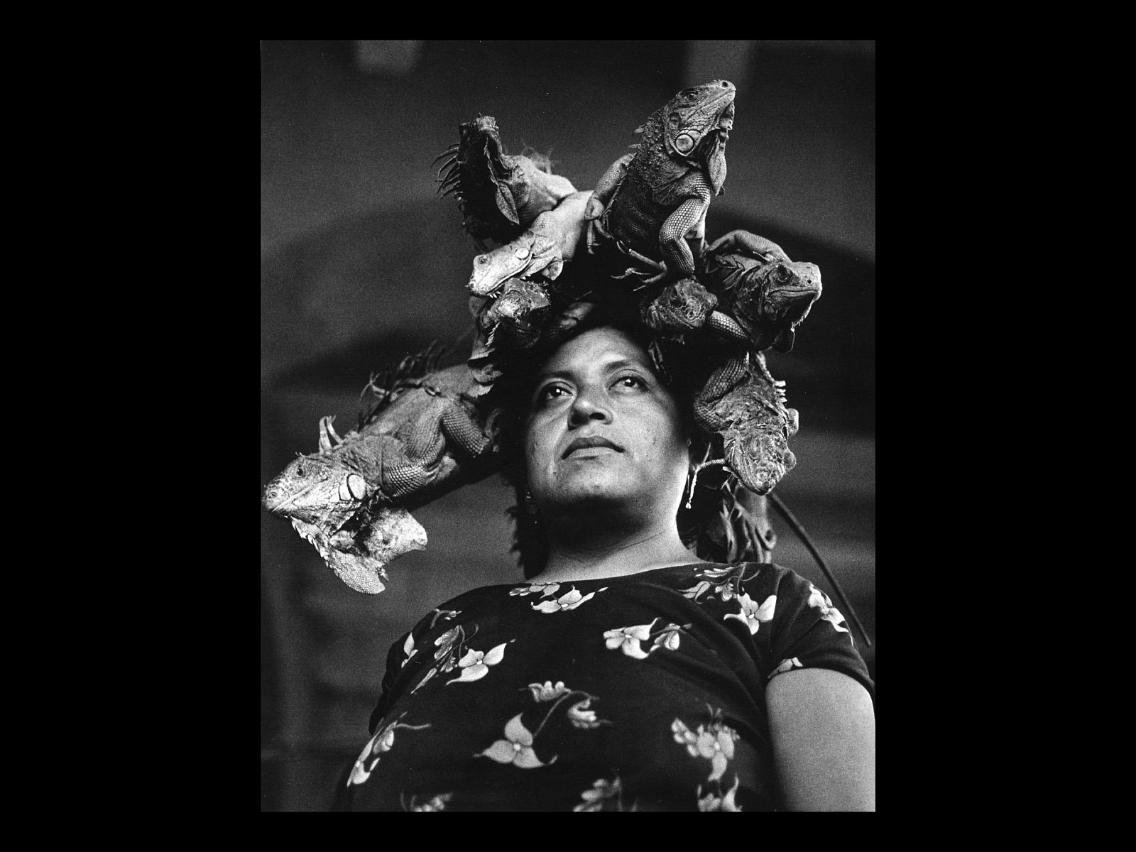 Nuestra señora de Juchitán (Graciela Iturbide)