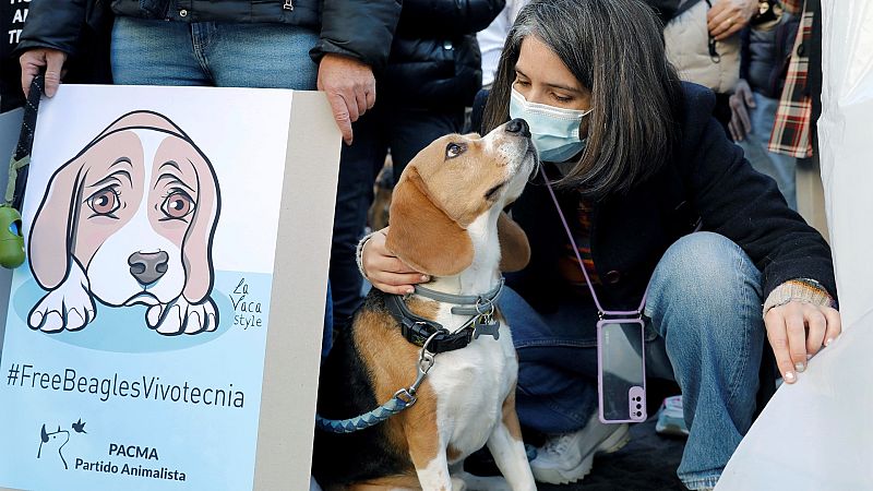 Animalistas rechazan la experimentación de un fármaco en perros que podría conllevar su sacrificio