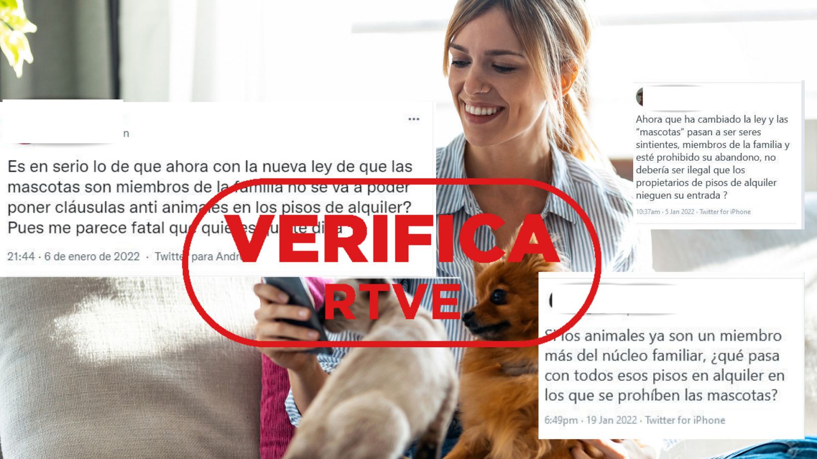 Mensajes de redes preguntando si los propietarios pueden admitir mascotas en pisos de alquiler