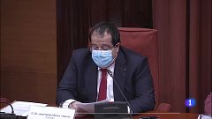Elena nega al Parlament que s'hagi purgat a ningú