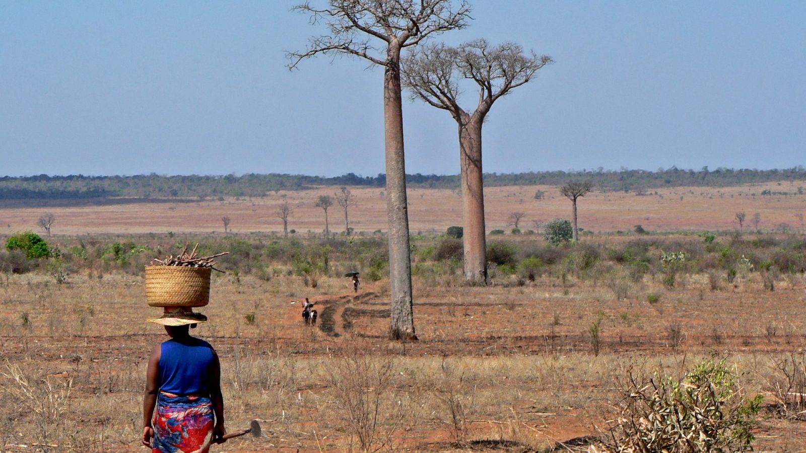 Una mujer camina en busca de agua en Madagascar