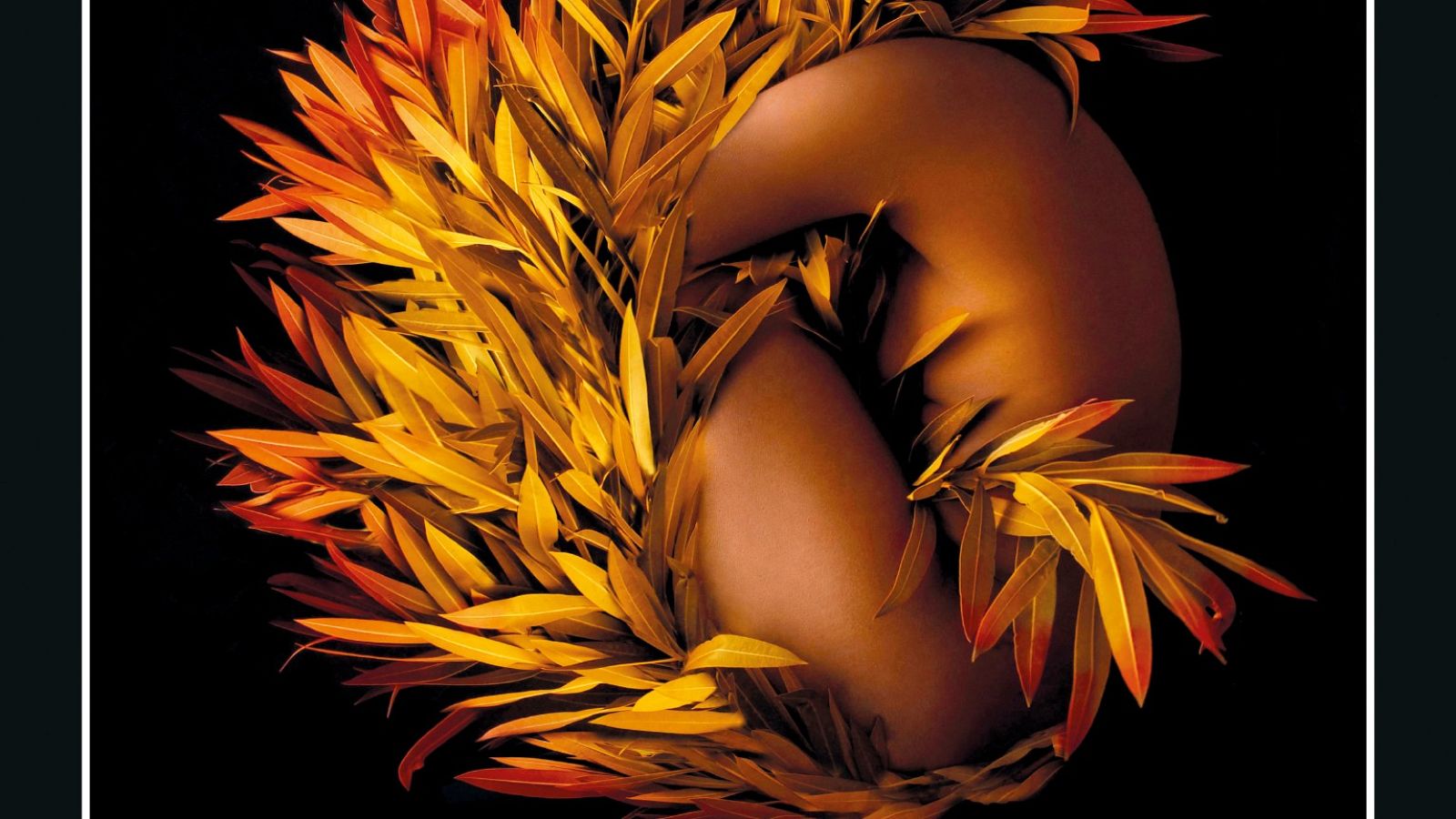 Detalle de la portada de 'Yo, Tituba, la bruja negra de Salem'