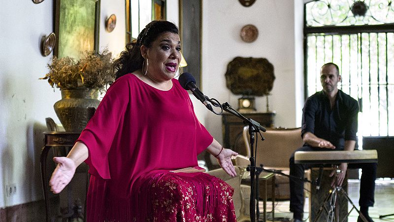 'Caminos del flamenco' llega a la cuna del cante, Jerez