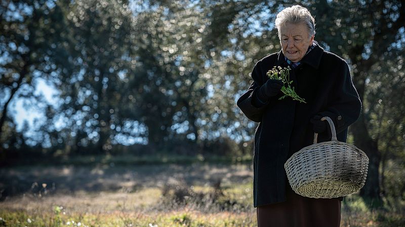 Cu�ntame: Mar�a Galiana habla de sus comienzos como Herminia
