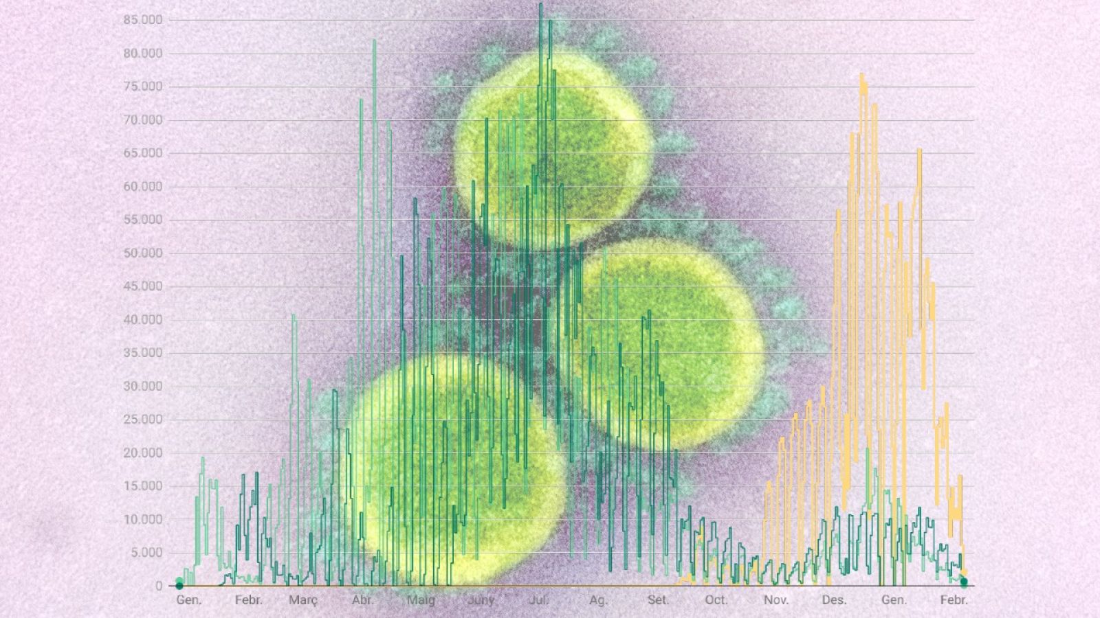 Consulta les dades de vacunacions de la COVID-19