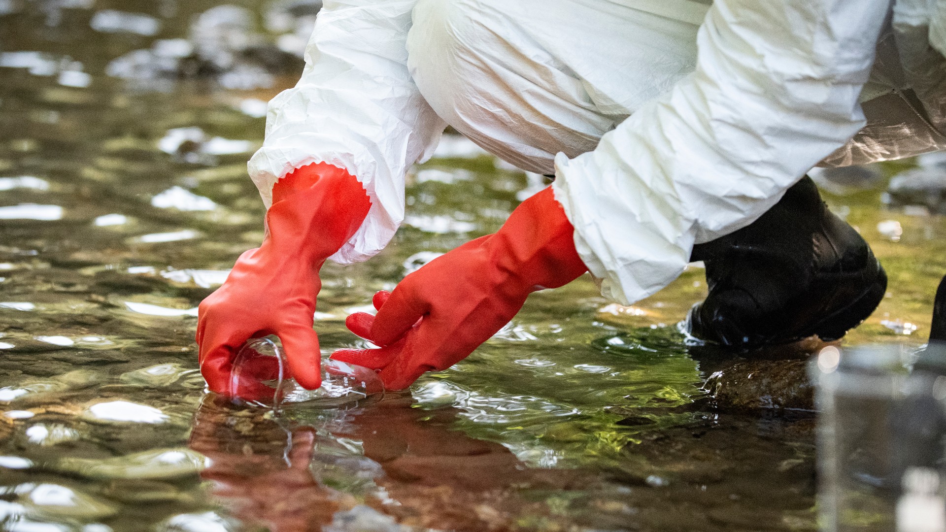 Antidepresivos contaminan ríos y preocupan a científicos por su impacto ambiental