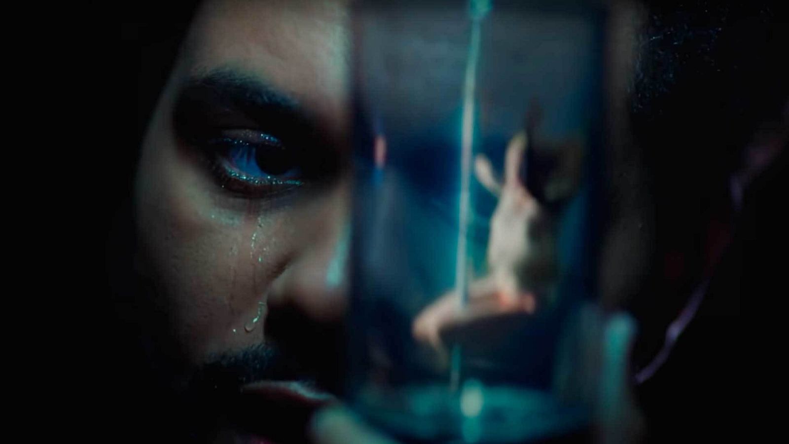 Llorar en discotecas, una nueva forma de salir de fiesta