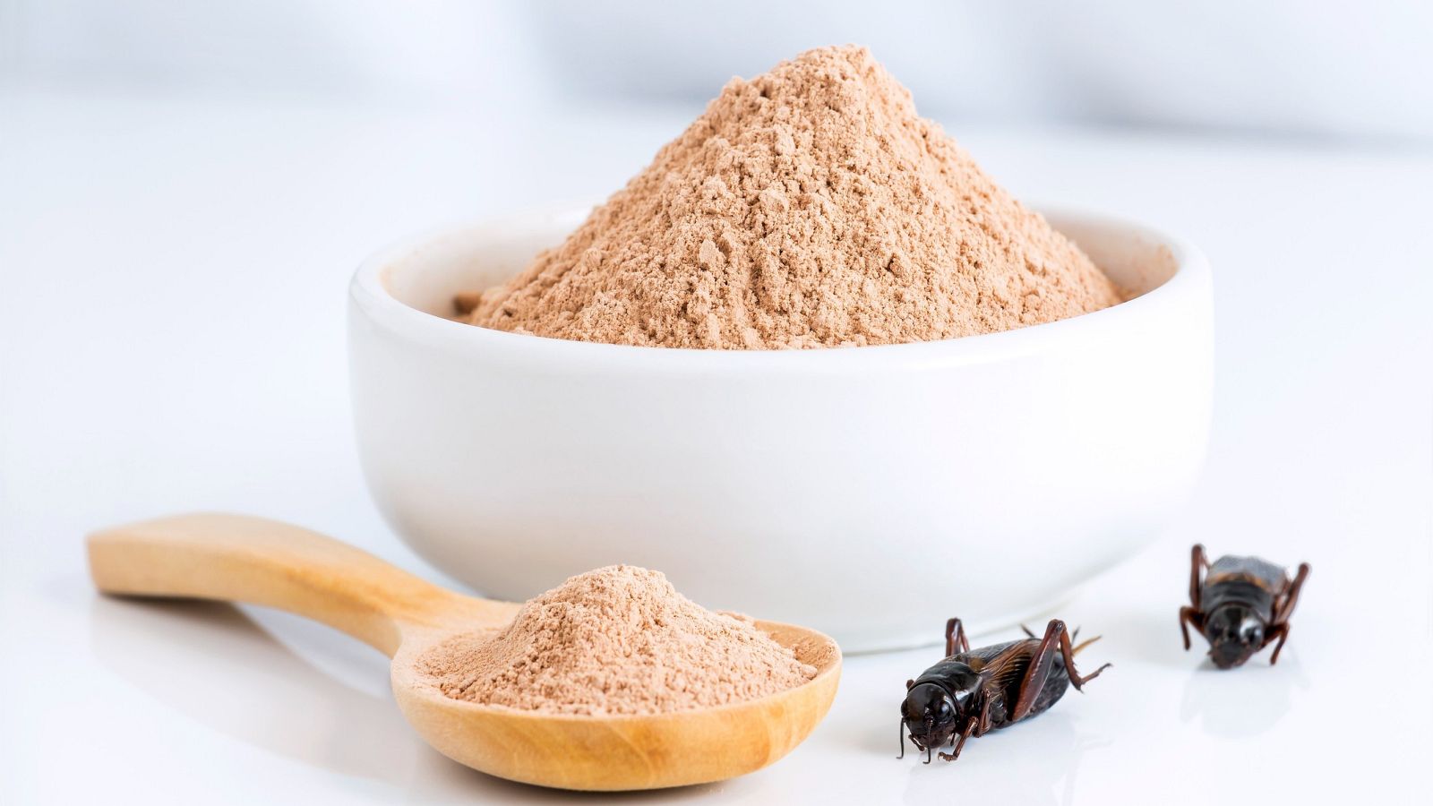 Bruselas autoriza la comercialización del grillo como alimento