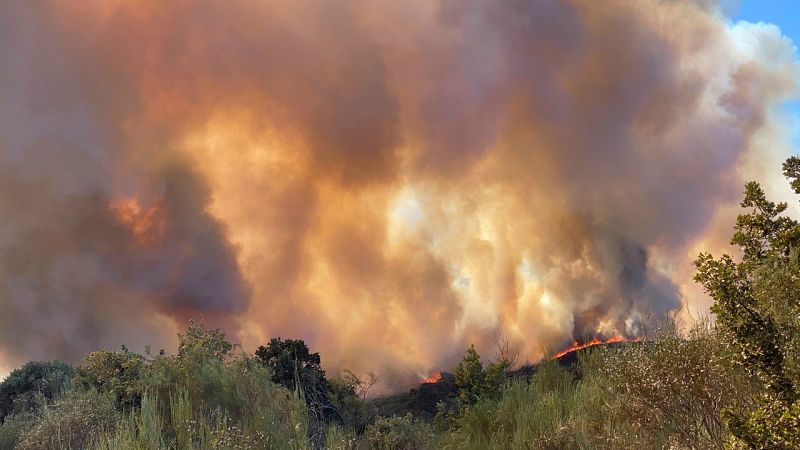 C�maras t�rmicas y simuladores para controlar el fuego en Gran Canaria