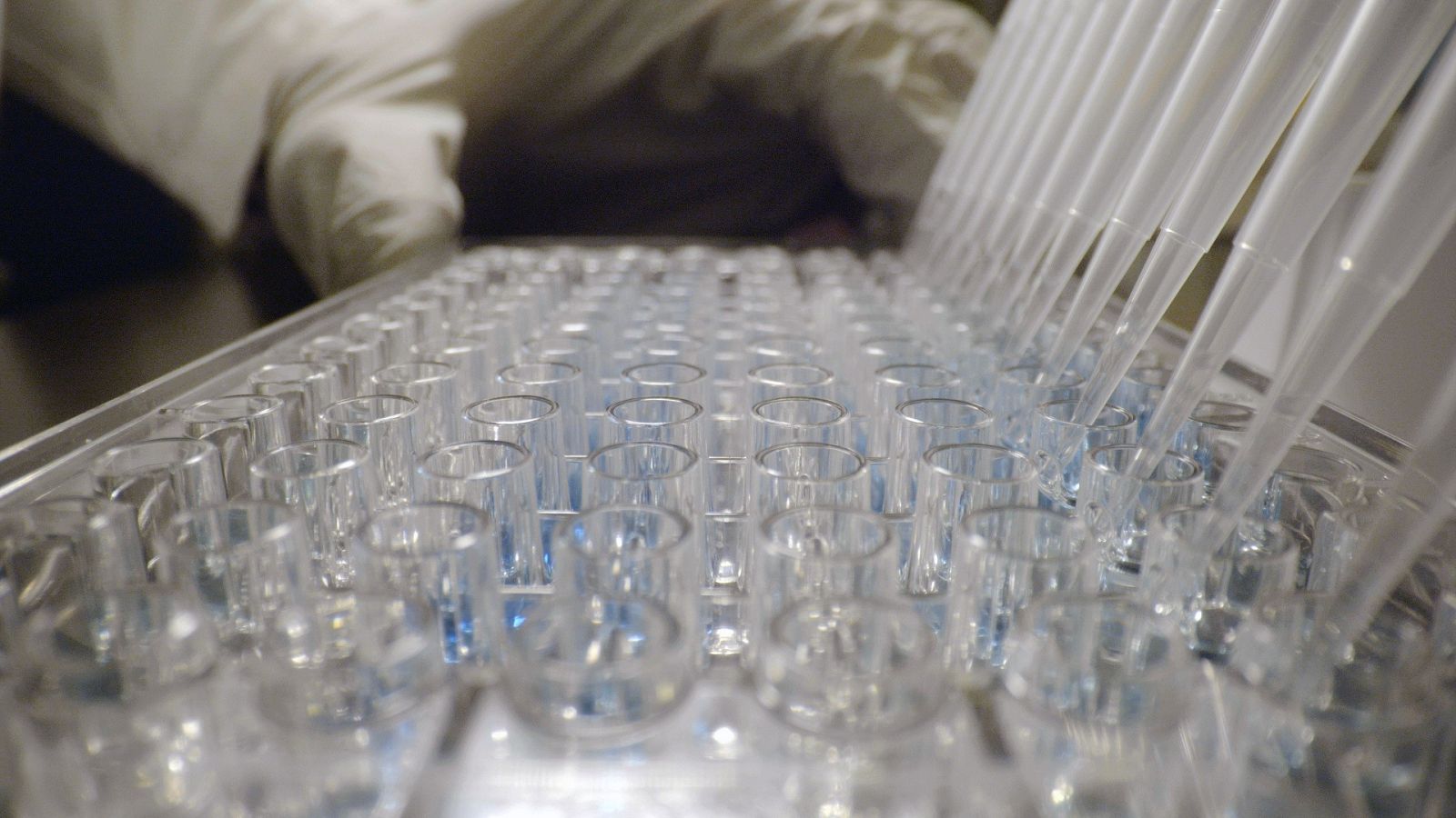 Material de un laboratorio que desarrolló las primeras vacunas de la Covid