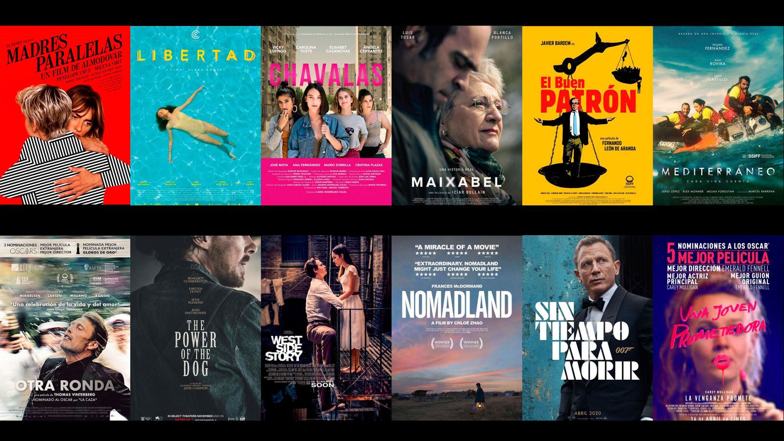 Roses Sant Jordi 2022