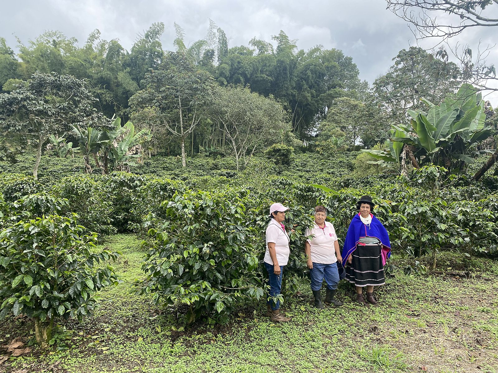 El café de Colombia con aroma feminista