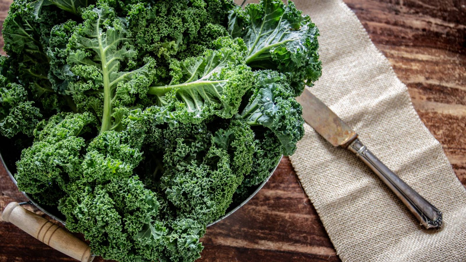 La col kale, un tesoro muy saludable