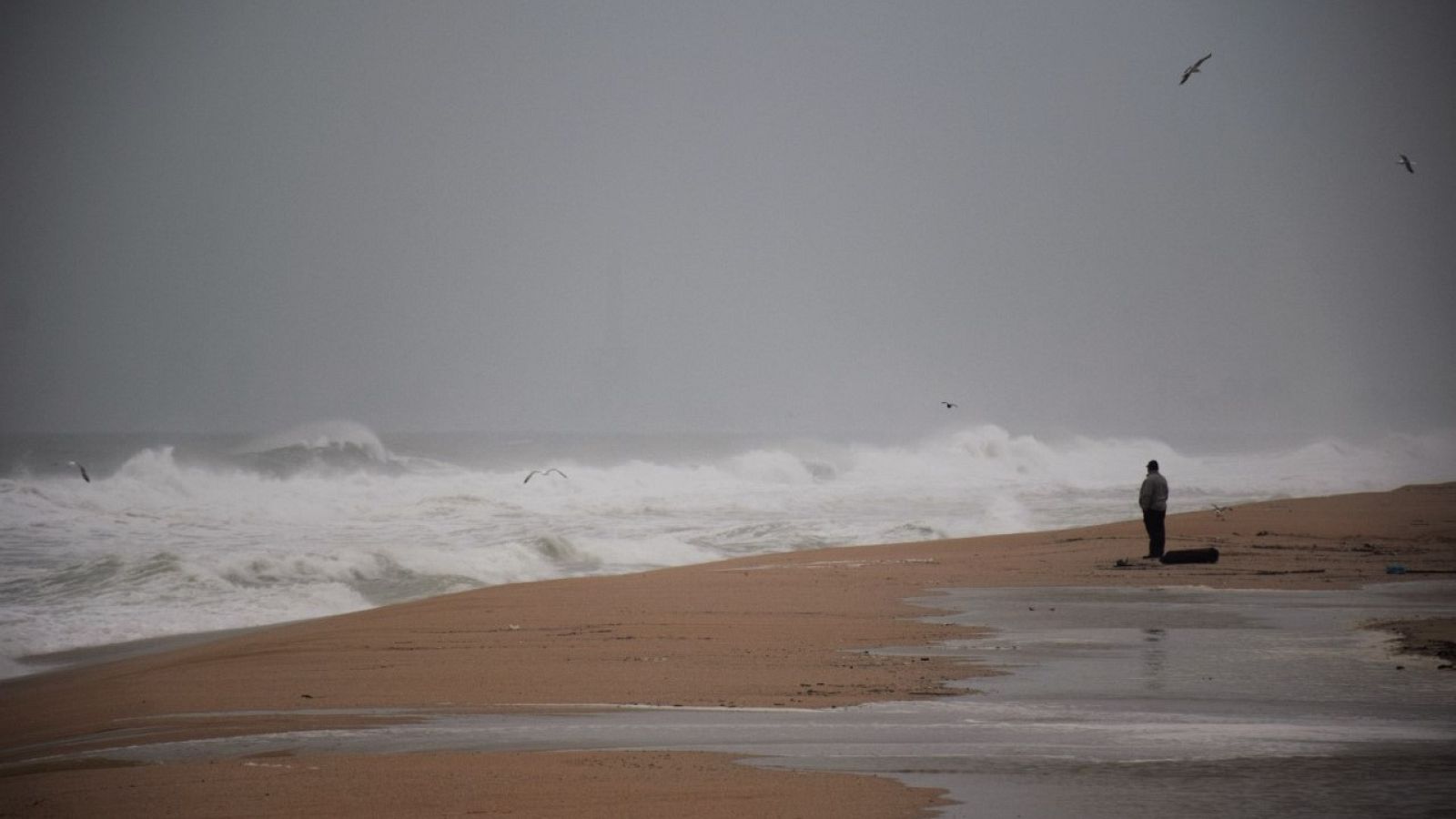 El Masnou (Mariona Rifa)