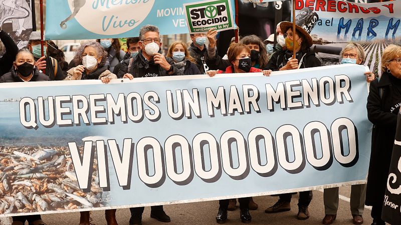 Todos los partidos políticos, salvo Vox, coinciden en dar personalidad jurídica al Mar Menor 