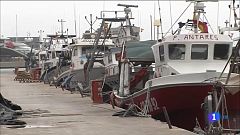 La reunió entre pescadors i el ministeri "no ha donat solucions"