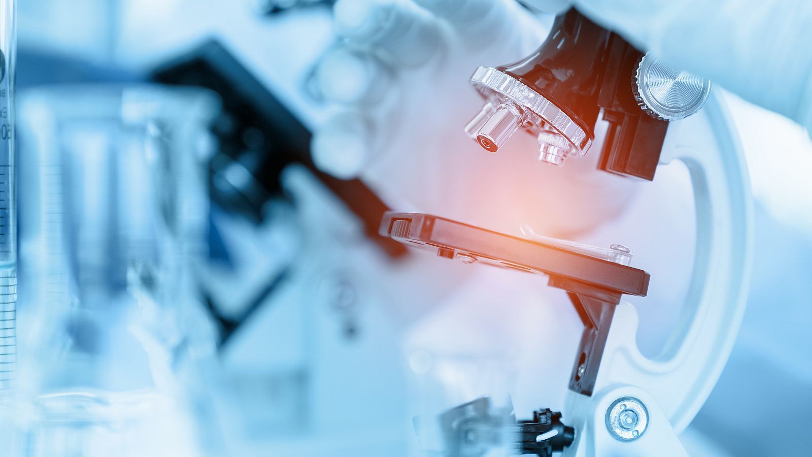 El candidato vacunal desarrollado por el equipo de Esteban y García Arriaza está basado en un poxvirus atenuado.