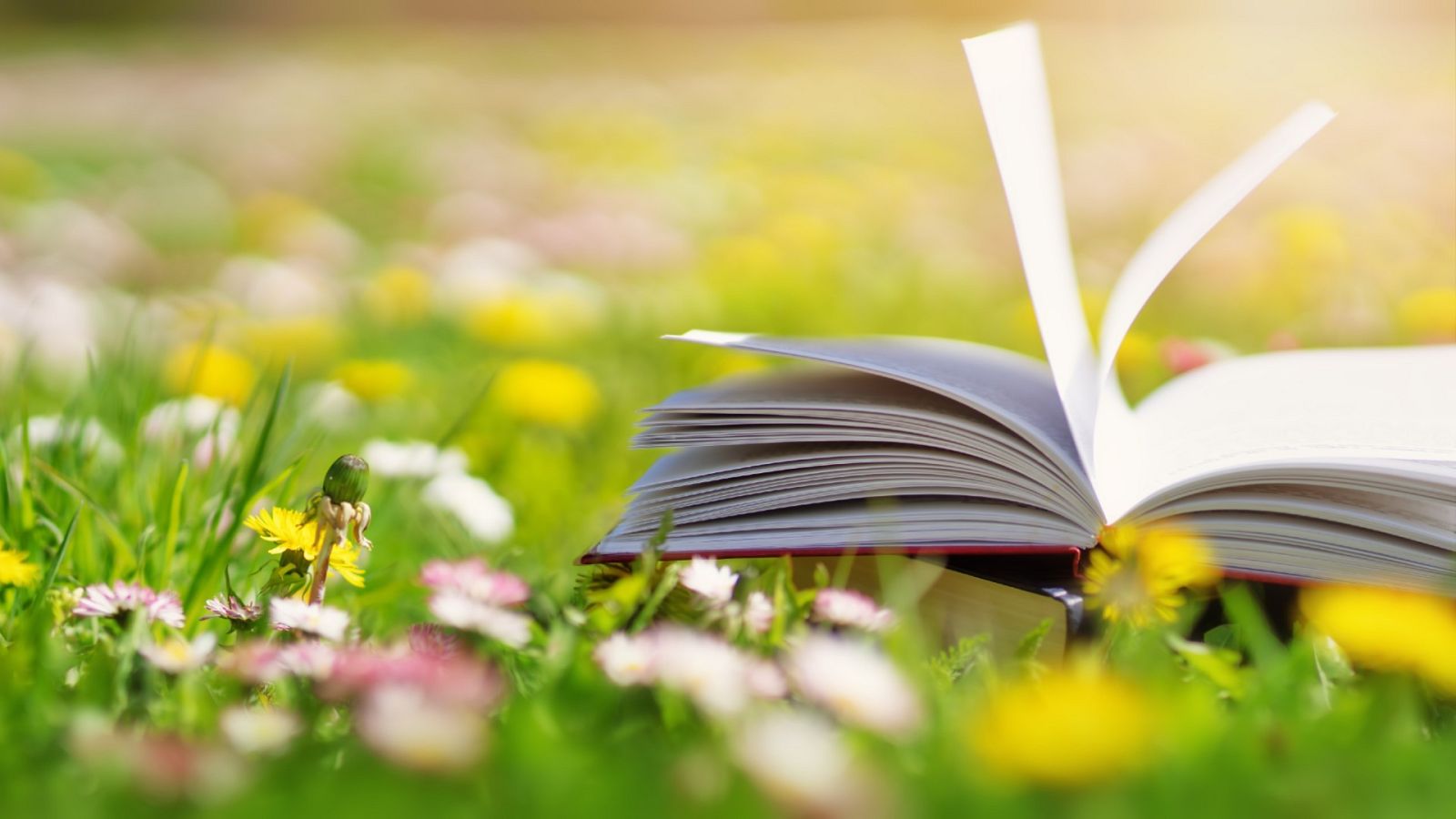 Libros recomendados para esta primavera