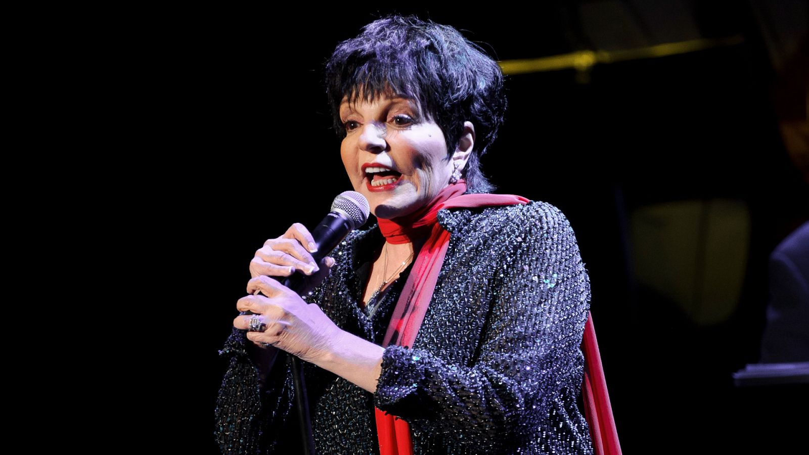 La artista estadounidense Liza Minnelli