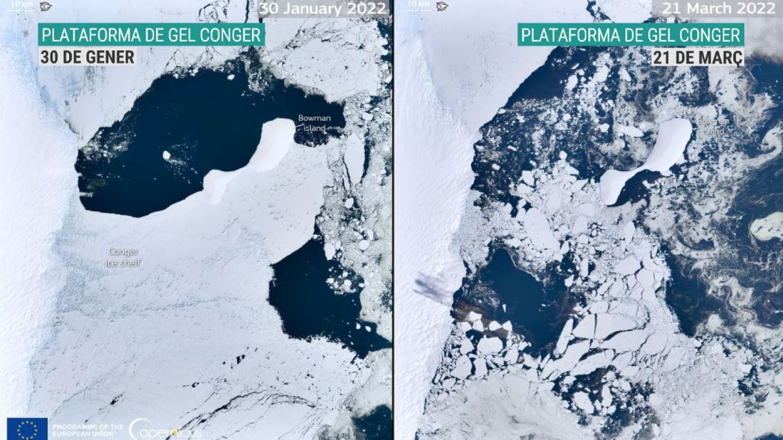 Comparativa de la plataforma de gel Conger (gener 2022/març 2022)
