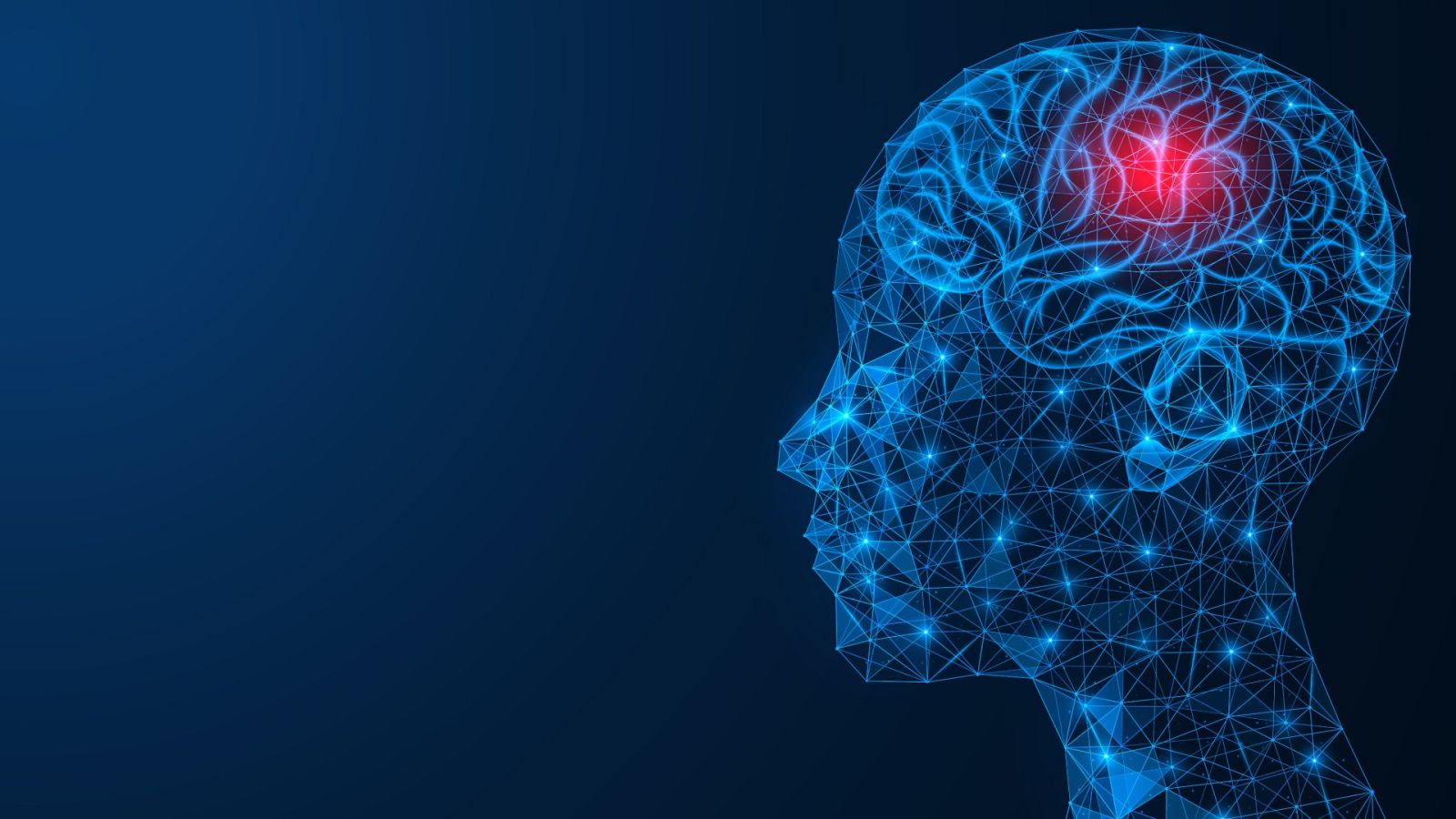 Representación gráfica de un cerebro humano y una lesión, en un imagen de archivo