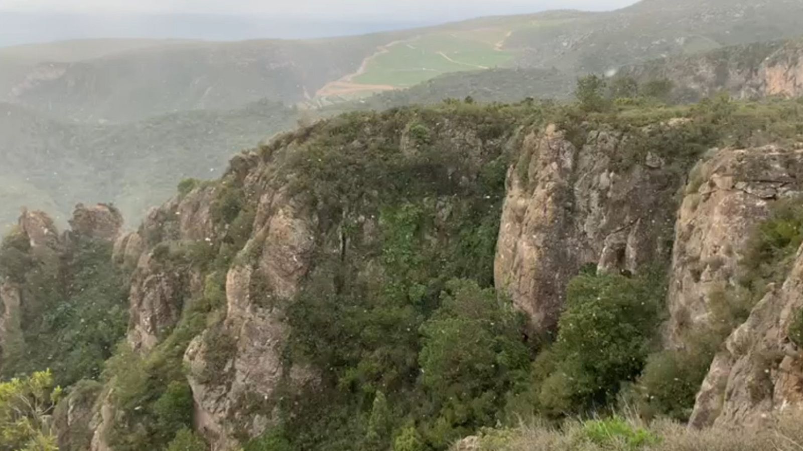 Cauen volves de neu al massís del Garraf