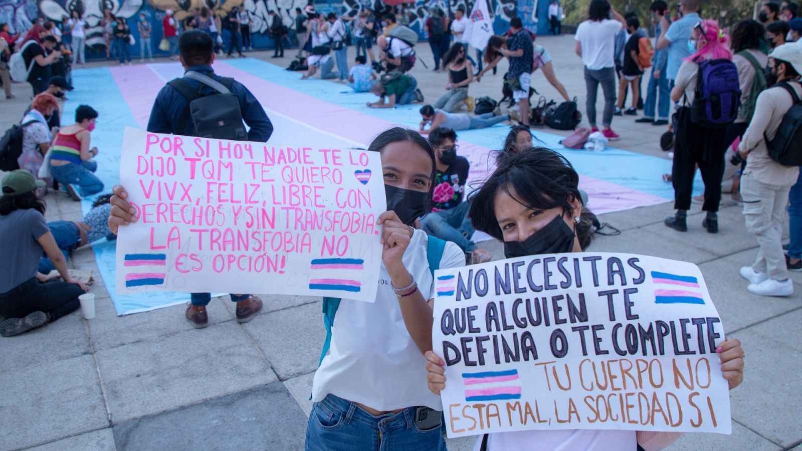Manifestación trans