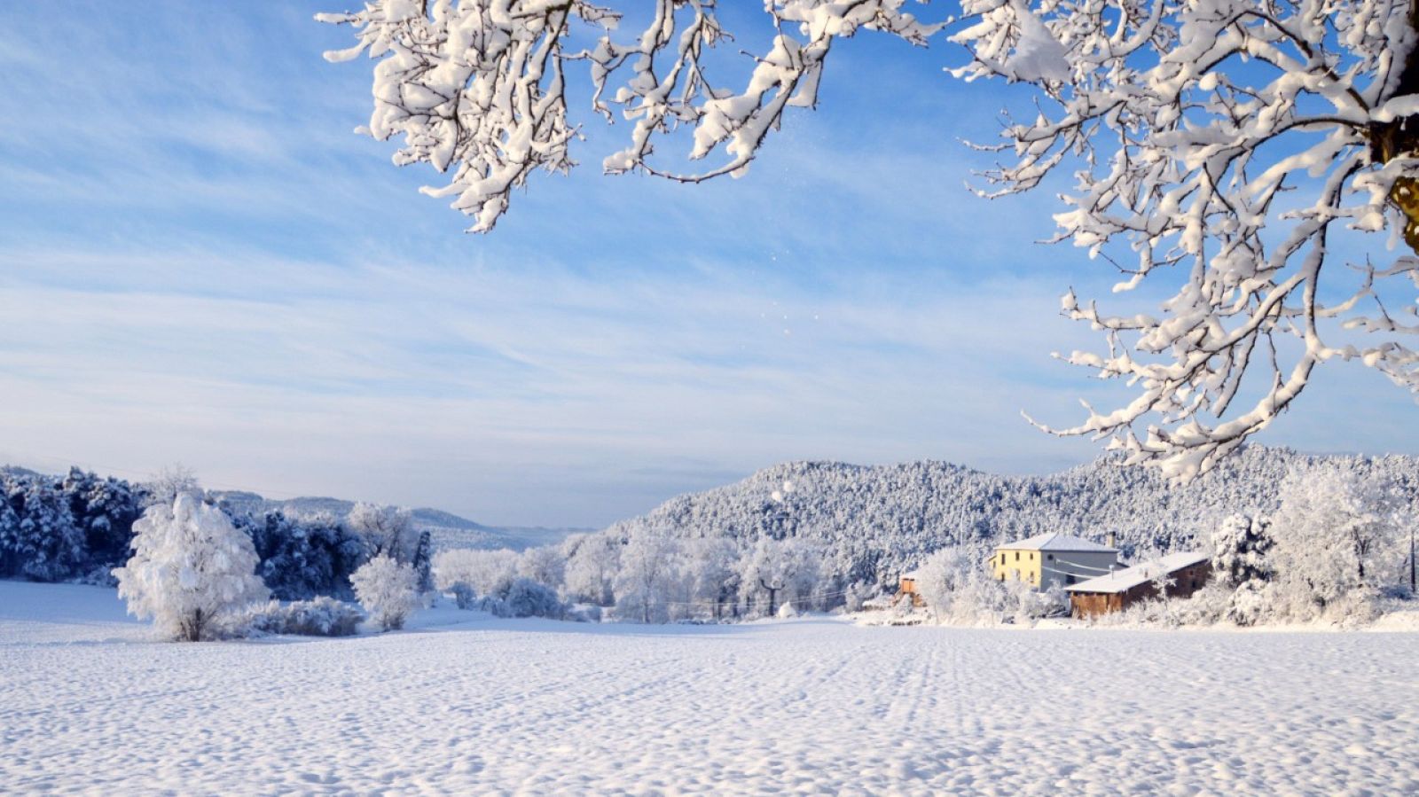 Sant Boi de Lluçanès (Josep Martínez Castro), aquest dilluns