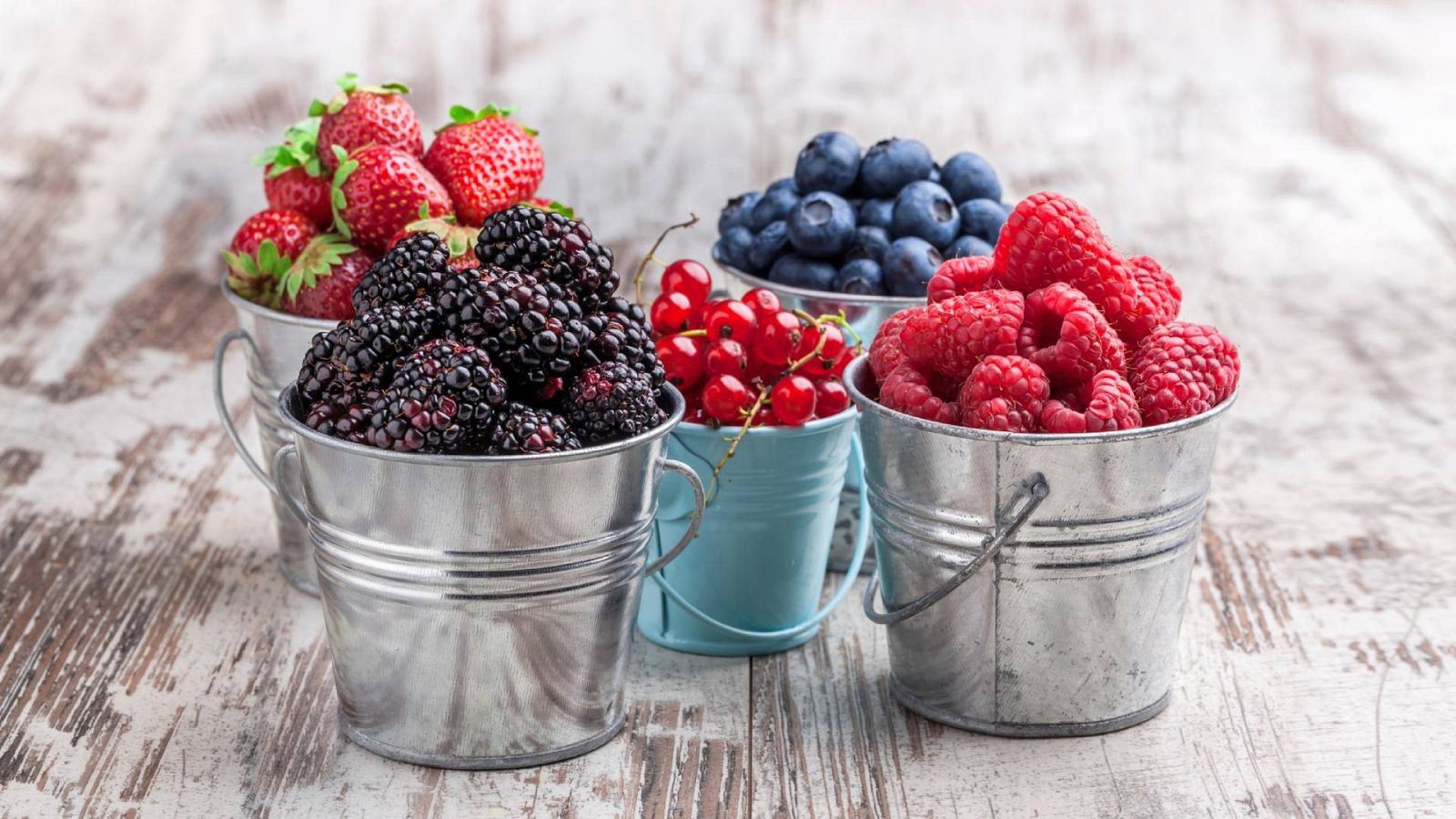 Frutos del bosque en casa: salvajes, pero hogareños