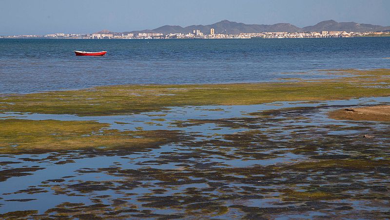 El Mar Menor se convierte en el primer ecosistema en Europa con derechos jurídicos reconocidos 