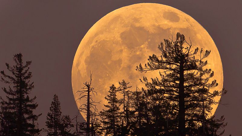¿Cómo ver la luna rosa de abril este sábado desde España?
