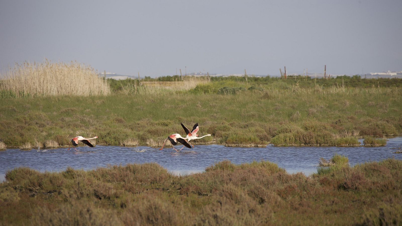 ctv-mf9-197154 de-parque-en-parque-7-cms