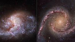 La NASA descubre que los agujeros negros podrían estar destruyendo miles de estrellas para aumentar su tamaño