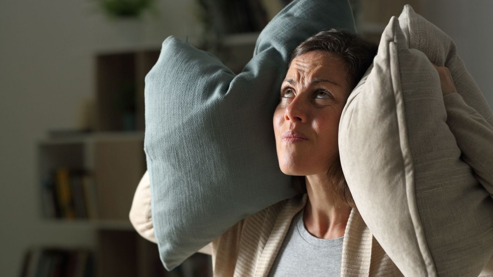 "No debemos superar los 50 decibelios durante la noche y los 55 decibelios durante el día", explica Maria José Lavilla